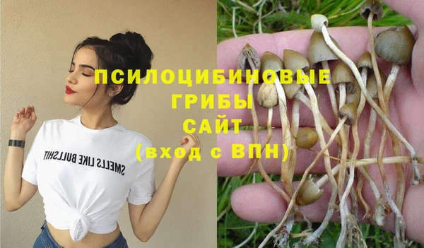 альфа пвп Беломорск