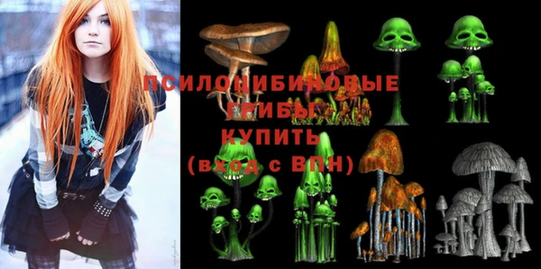 альфа пвп Беломорск